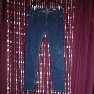 Size 12 Super Skinny Arizona Stretch Blue Jean Denim Pants